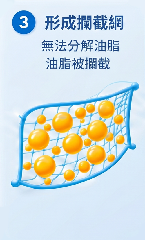 3 形成攔截網