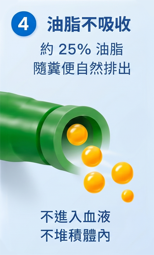 4 油脂不吸收